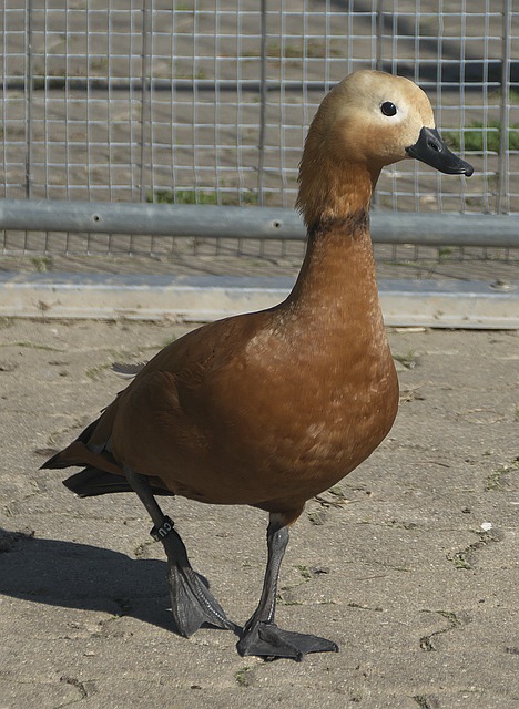 何保持冷静