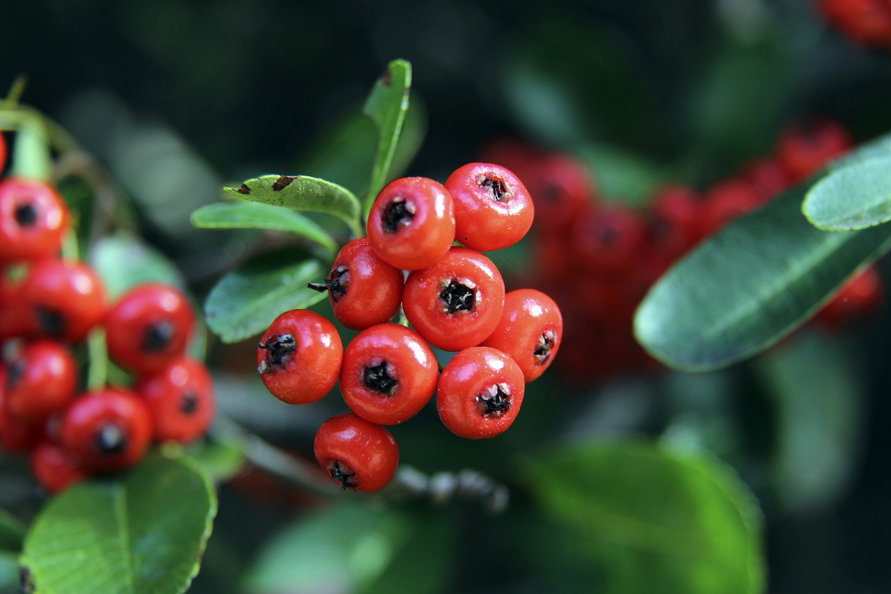 智慧是每支 智慧是每支